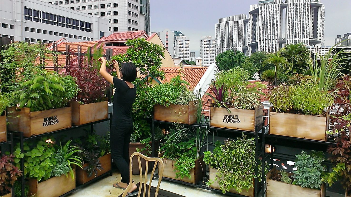 Michelle tending an urban rooftop garden