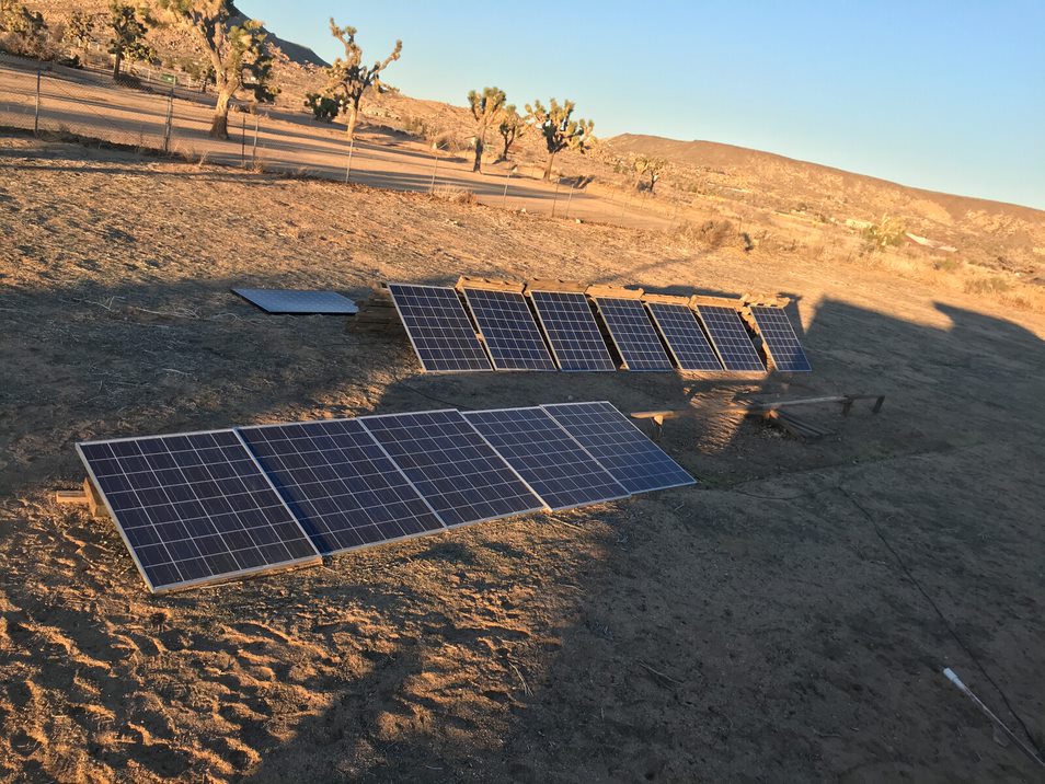 Solar panels laid across desert ground near Joshua trees