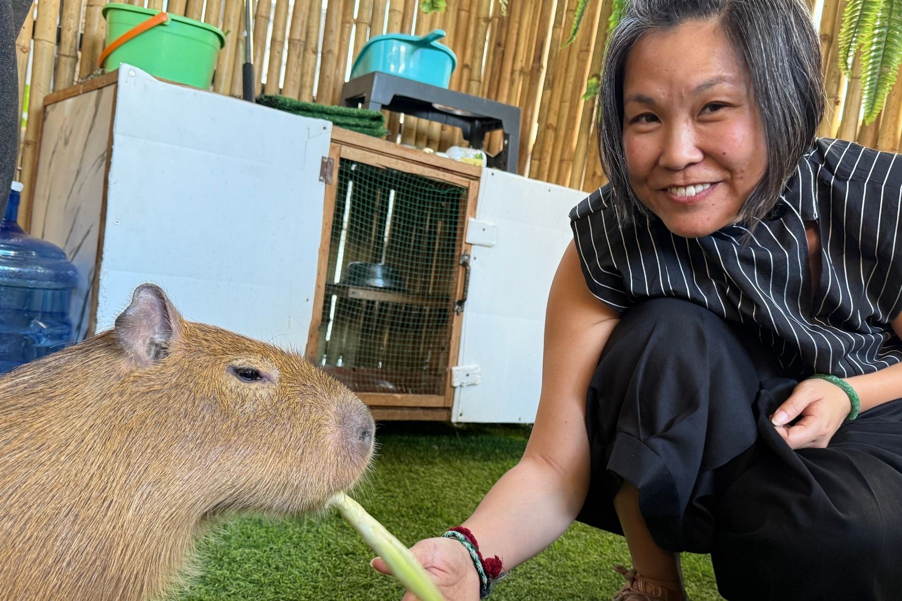 Woman feeding a capybara at Union Space's café