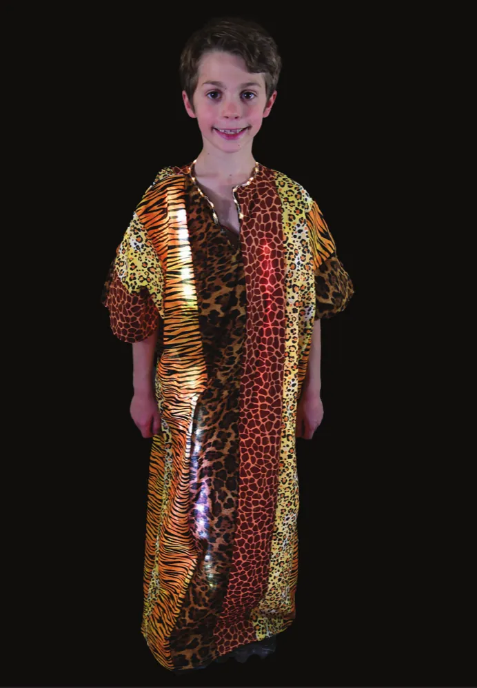 Animal Kingdom: student in a long robe pieced from tiger, leopard and zebra prints